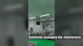 Coattech High-Precision Cleanroom Conveyor Packaging Line For Advanced Manufacturing