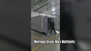 Sécheuse à pompe à chaleur Coattech 7 HP | Déshydratation industrielle du Moringa